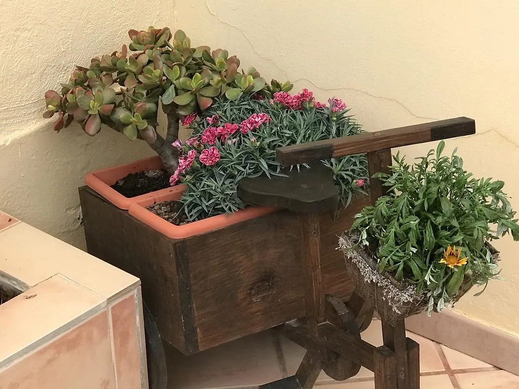 Bungalow Alaia Pájara